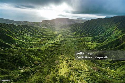 what are hawaiian rainforests similar to